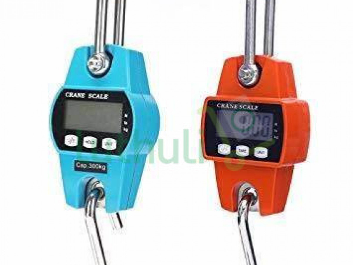 200kgs crane scale. 200kgs crane scale.