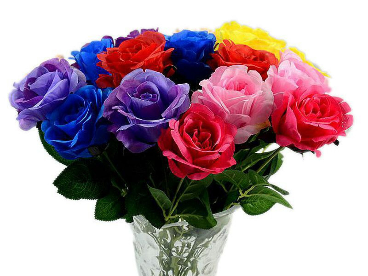 A Guide to the Beautiful Rose Flower A Guide to the Beautiful Rose Flower
