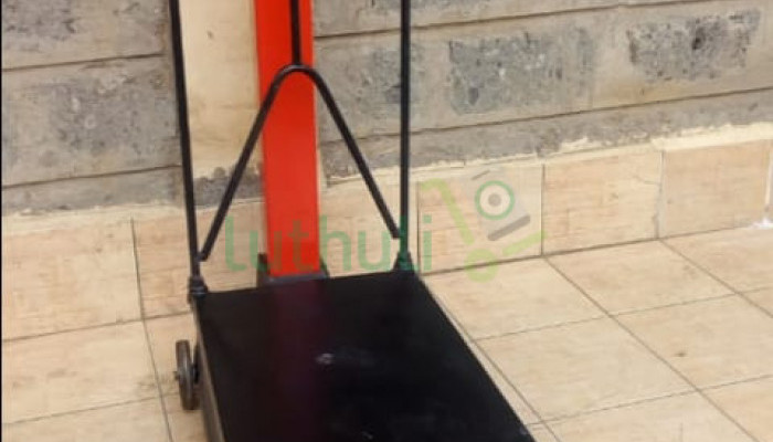 250kgs manual weighing scale.