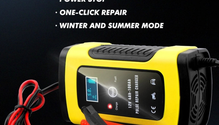 12V Battery Pulse Charger
