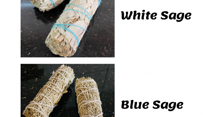 WHITE SAGE BLUE SAGE