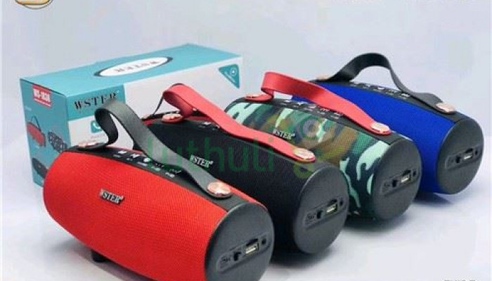 Wster 1838 Portable Bluetooth Speaker