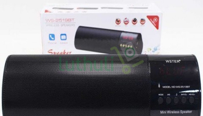 WSTER Bluetooth Speaker With FM Radio/USB